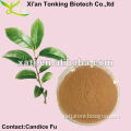 green tea weight loss powder
